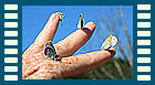 5 argus auf der Hand Film