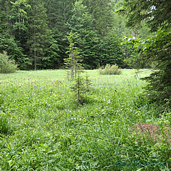 helle Habitat