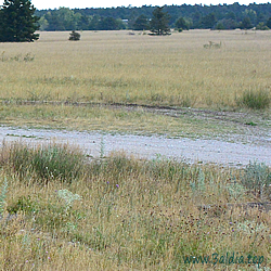 tityrus Habitat 2